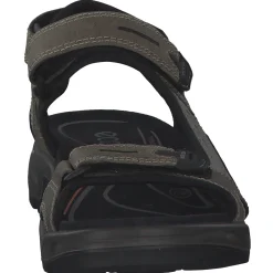 Ecco Offroad 069564, Klassische Sandalen, Herren, VETIVER/WILD DOVE