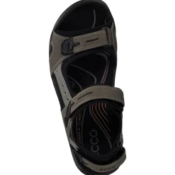 Ecco Offroad 069564, Klassische Sandalen, Herren, VETIVER/WILD DOVE