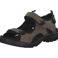 Ecco Offroad 822044, Klassische Sandalen, Herren, Braun (Brown)