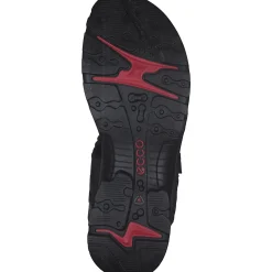 Ecco Offroad 069563, Outdoorsandalen, Damen, Black Mole