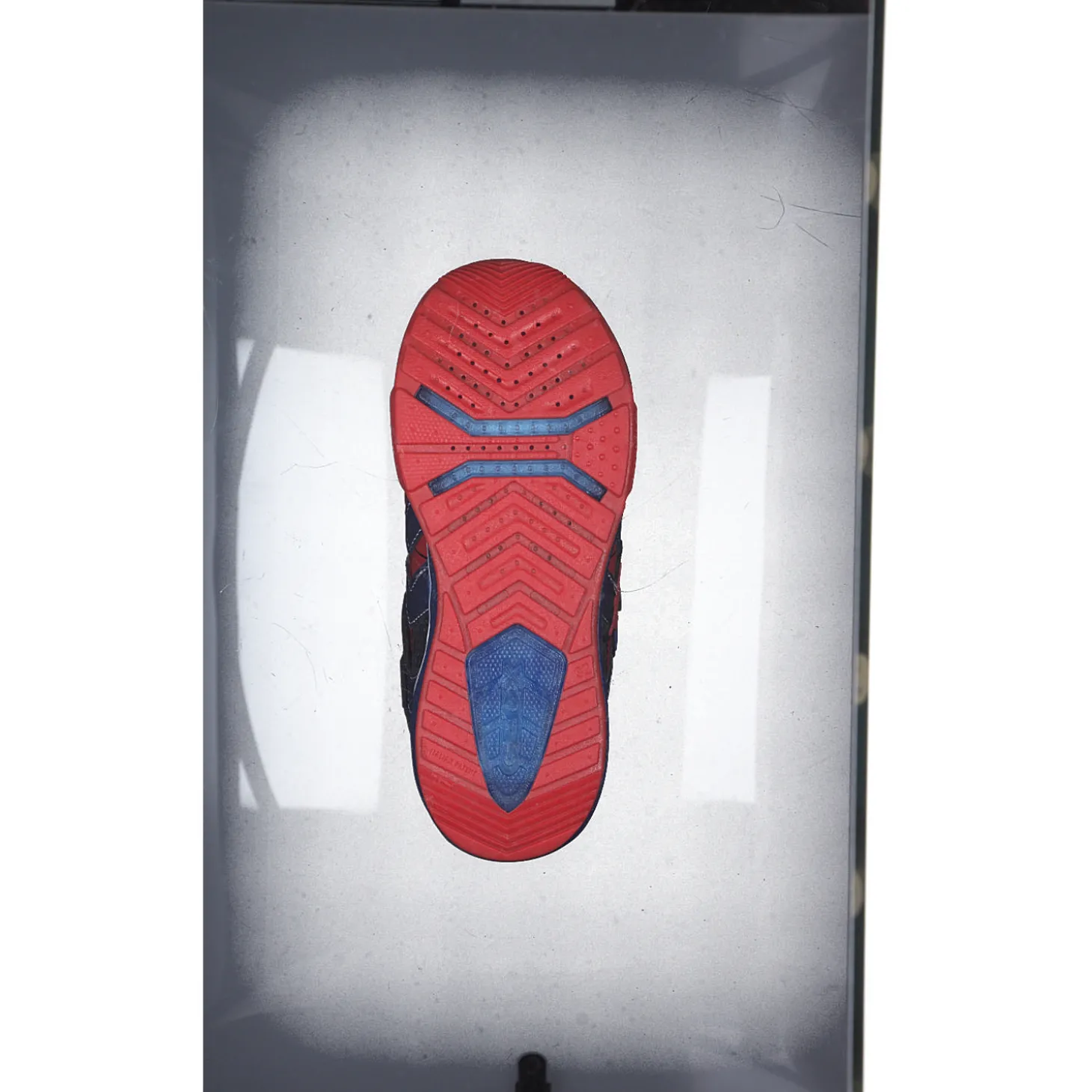 Geox J26FEB, Sneakers Low, Kinder, ROYAL/LIME