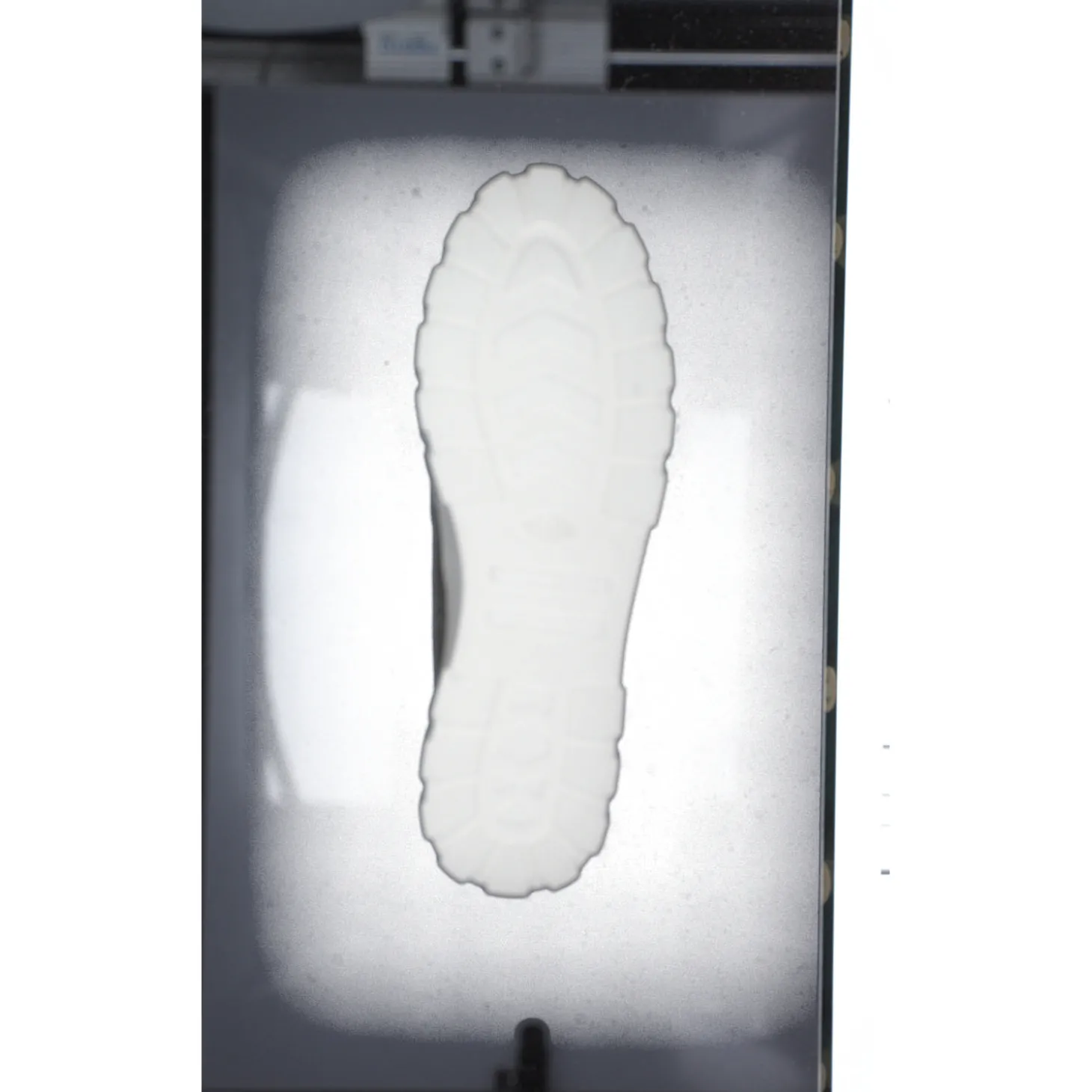 Palladium 98574, Schnürschuhe, Damen, vetiver